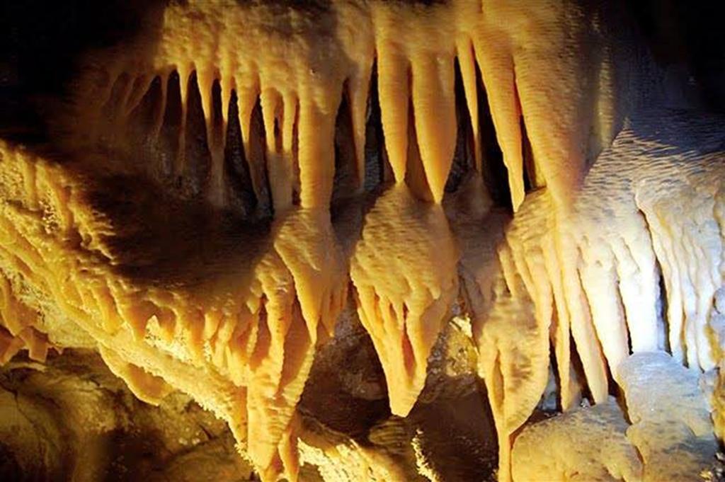Apart El Nevado Malarguee Ngoại thất bức ảnh