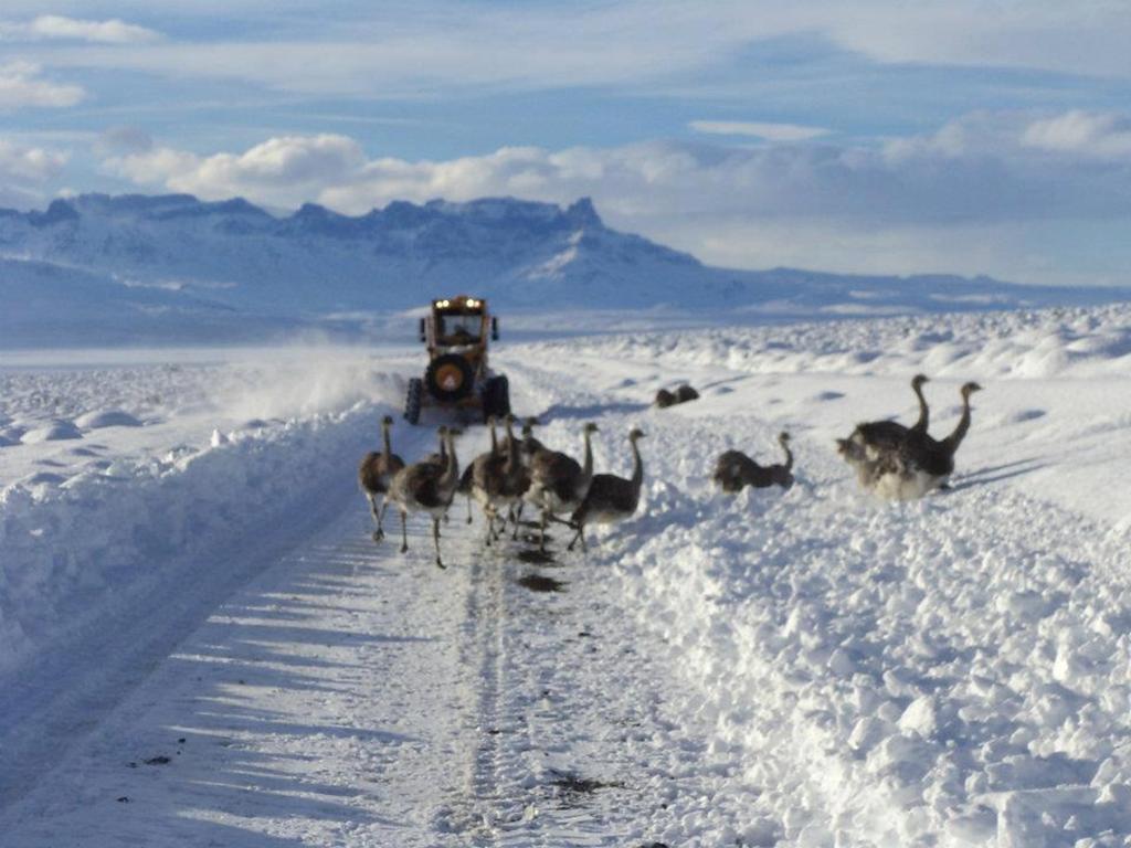 Apart El Nevado Malarguee Ngoại thất bức ảnh